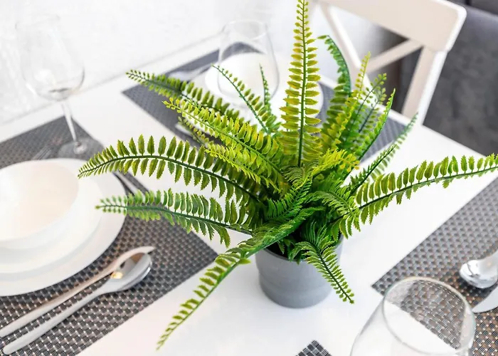 Letnicka By Renters 公寓